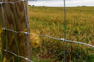 Sunny Slop Farm